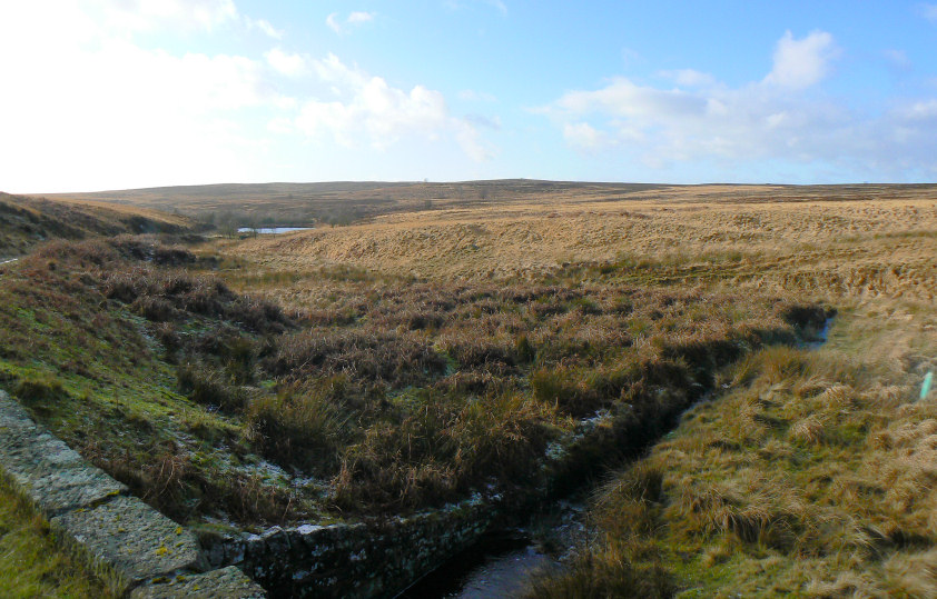 Big Moor Big Moor